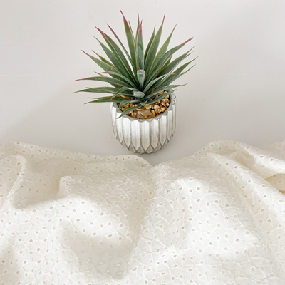 Broderie Anglaise Blanche